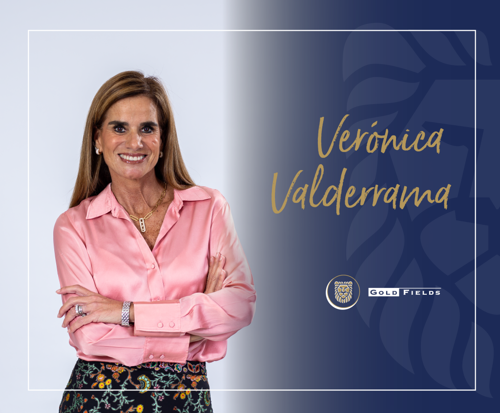 Verónica Valderrama Participa En Webinar Del Colegio De Ingenieros Del Perú Gold Fields Blog 6928