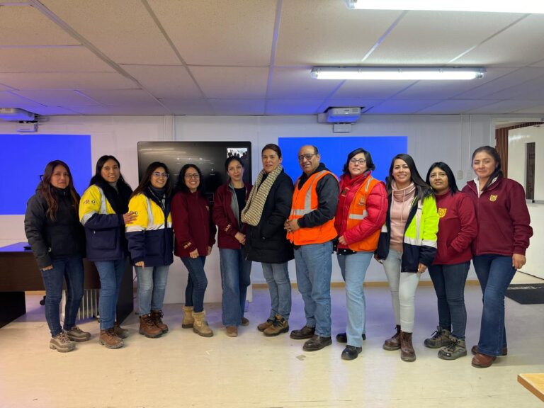 Éxito en nuestra Auditoría Interna ISO 14001 e ISO 45001